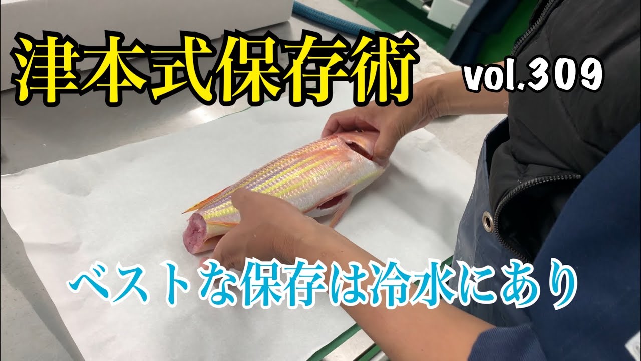 津本式保存術 ベストな保存は冷水にあり編 vol.309