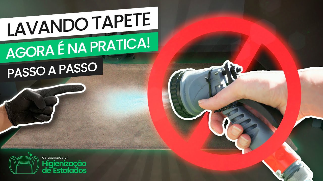LAVEI O TAPETE COM A EXTRATORA EA262!! PROCESSO RÁPIDO!!