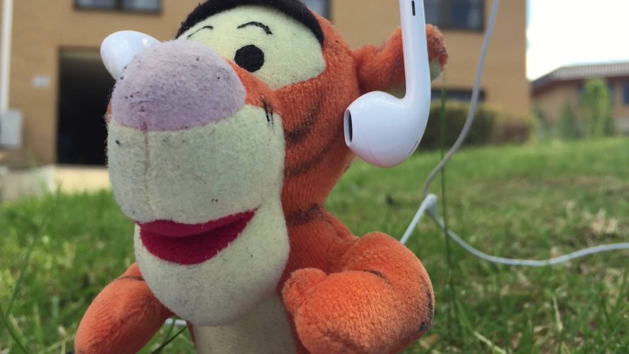 The Musical Tigger | Tigger's Adventures! S03 E03