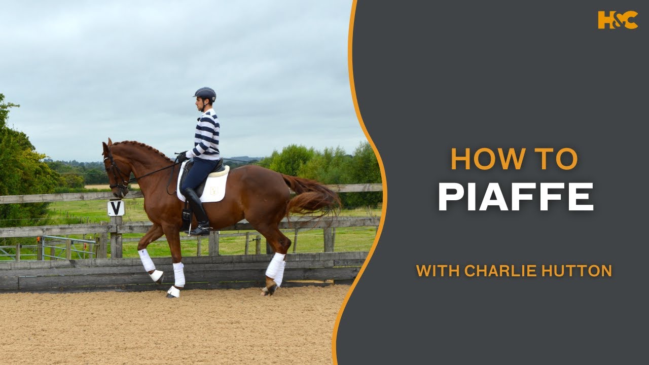 How To Piaffe with Charlie Hutton | H&C Masterclass