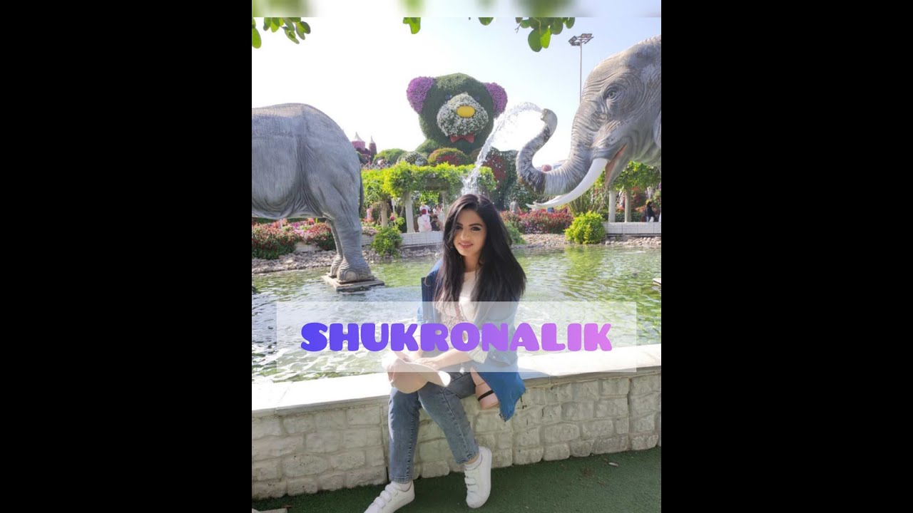 SHUKRONALIK QANDAY YOZILADI?  PSIXOLOG MADINA NARKUZIEVA