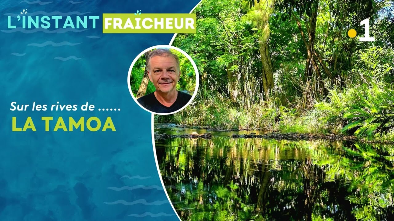 Sur les bords de la rivière de la Tamoa... #nouvellecalédonie #podcast #riviere