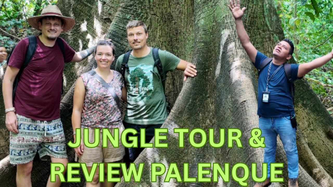 Animal Climbs up my Leg on Palenque Jungle Tour