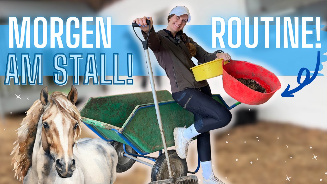 MORGENROUTINE AM STALL- Misten, Futterroutine&hellip;🐴 