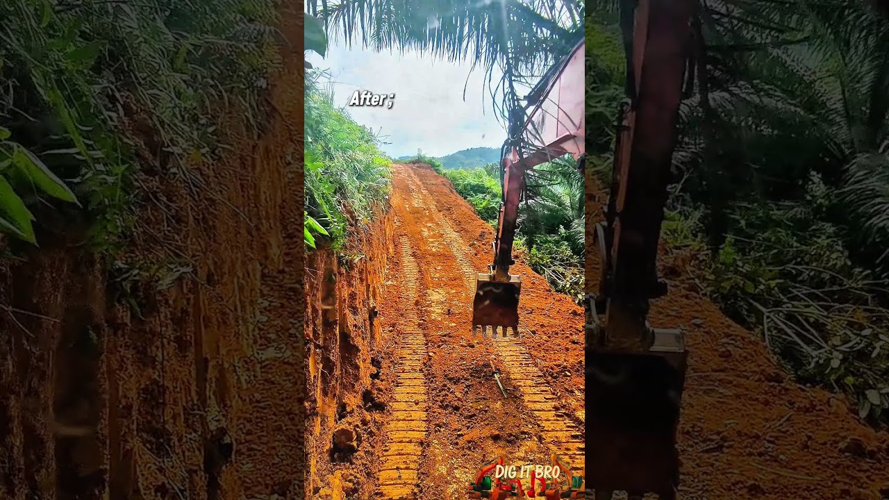 From Jungle to Journey #digitbro
