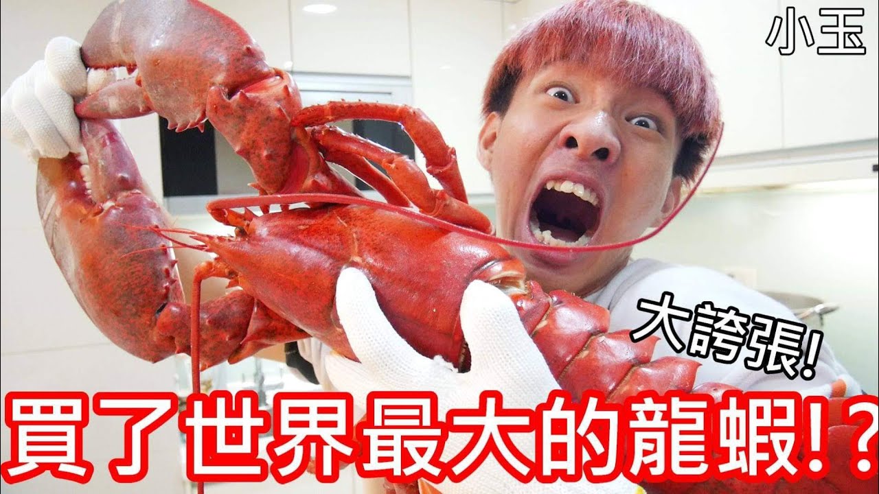 【小玉】大誇張!我買了世界最大的龍蝦!?【全長65公分】