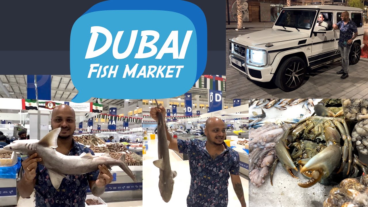 Yeth malla Meen da Market 😍 | Dubai Fish Market | EP 08