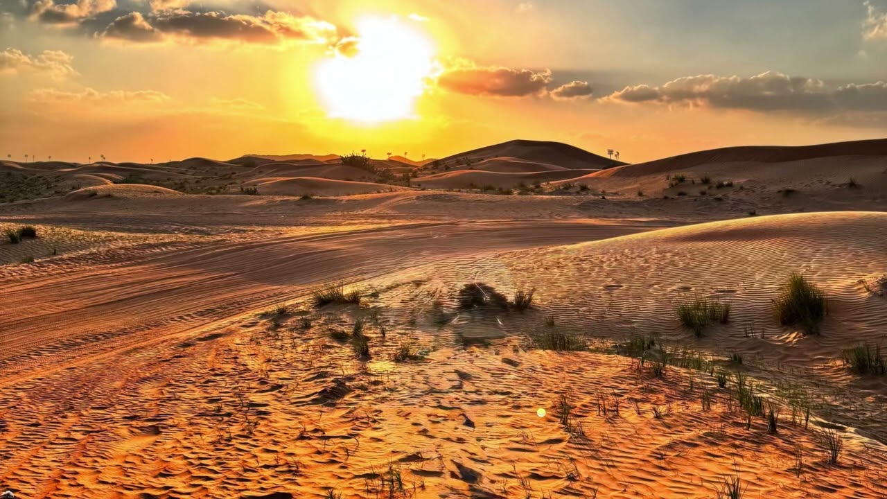 Caravan of Light | Trance