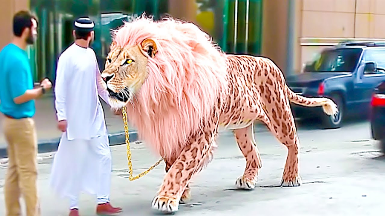8 Most Expensive Animals In The World