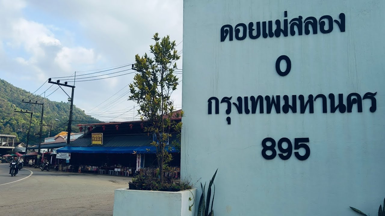 ดอยแม่สลอง อ.แม่ฟ้าหลวง จ.เชียงราย