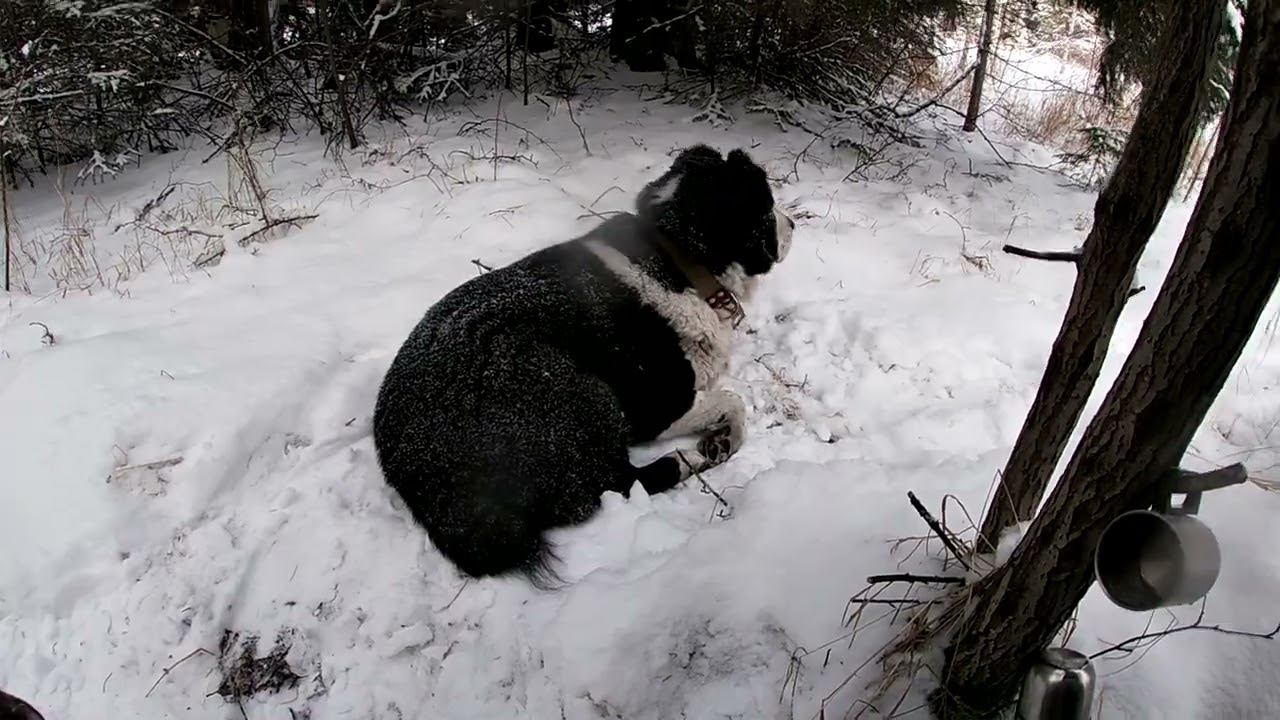 8 ноября