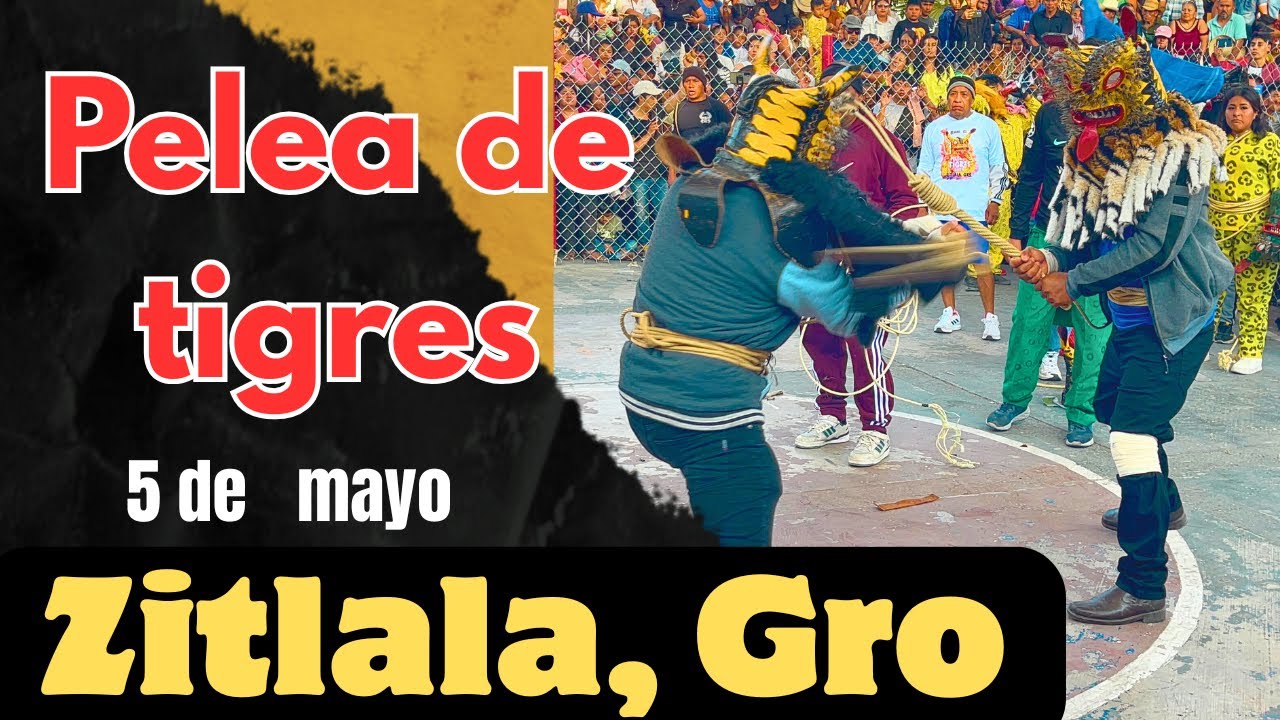 5 de mayo ritual de petición de lluvias en zitlala Guerrero, pelea de los hombres jaguar 🐆 2025