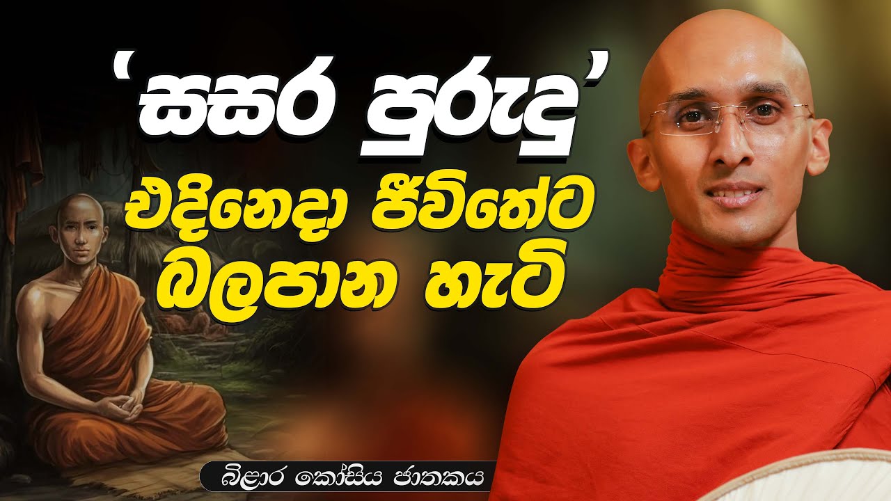 230. සසර පුරුදු ජීවිතේට බලපාන හැටි | බිළාර කෝසිය ජාතකය | 2024-01-12