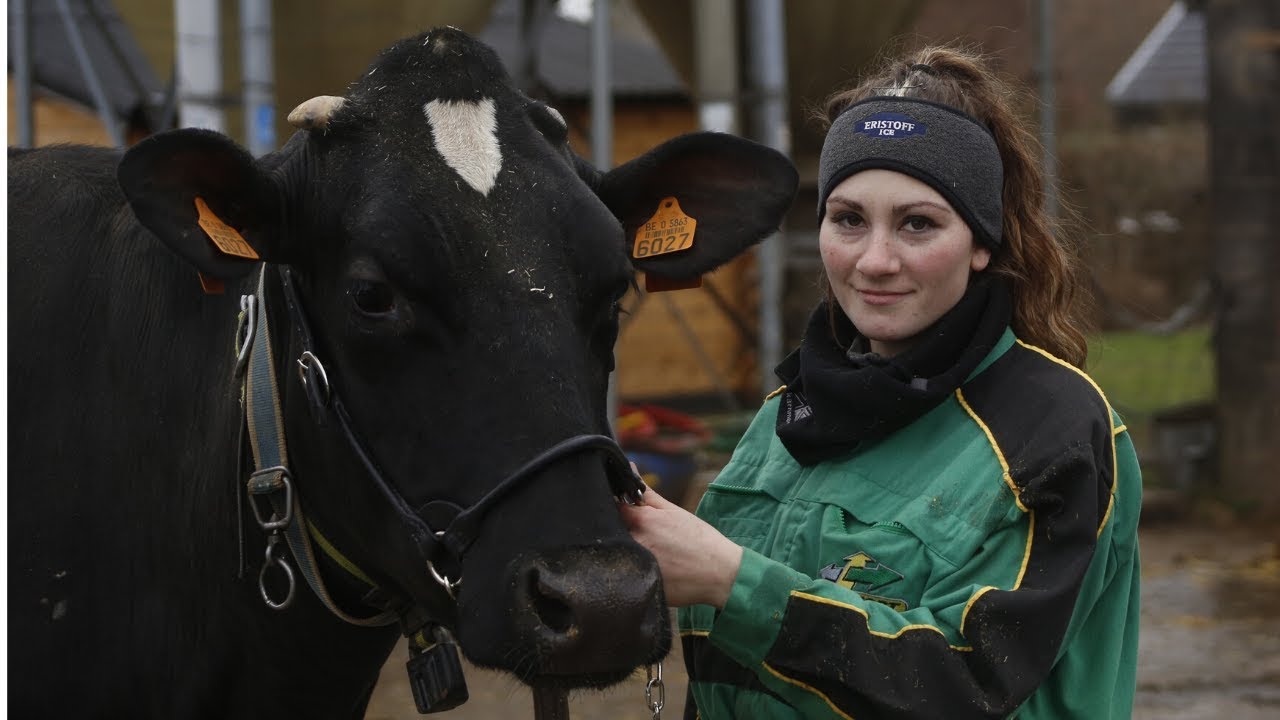Farmer Girl  Holstein  