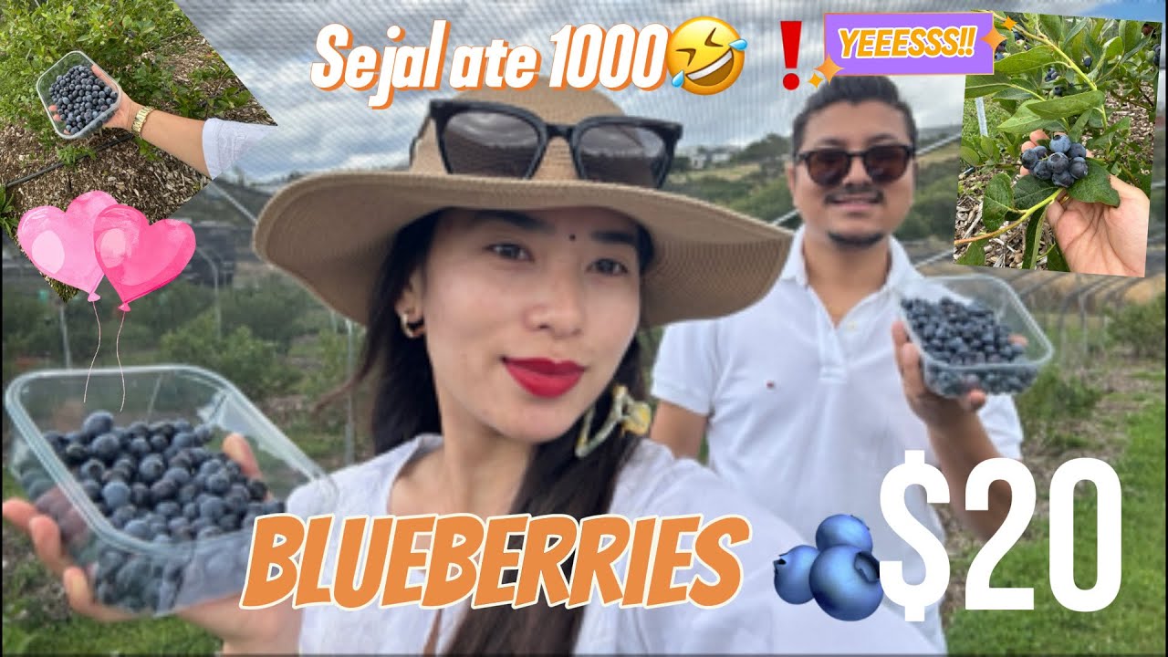 Sejal sonika are picking blueberries || Evening Together || Australia || Nepali Jodi || @sejalsone 
