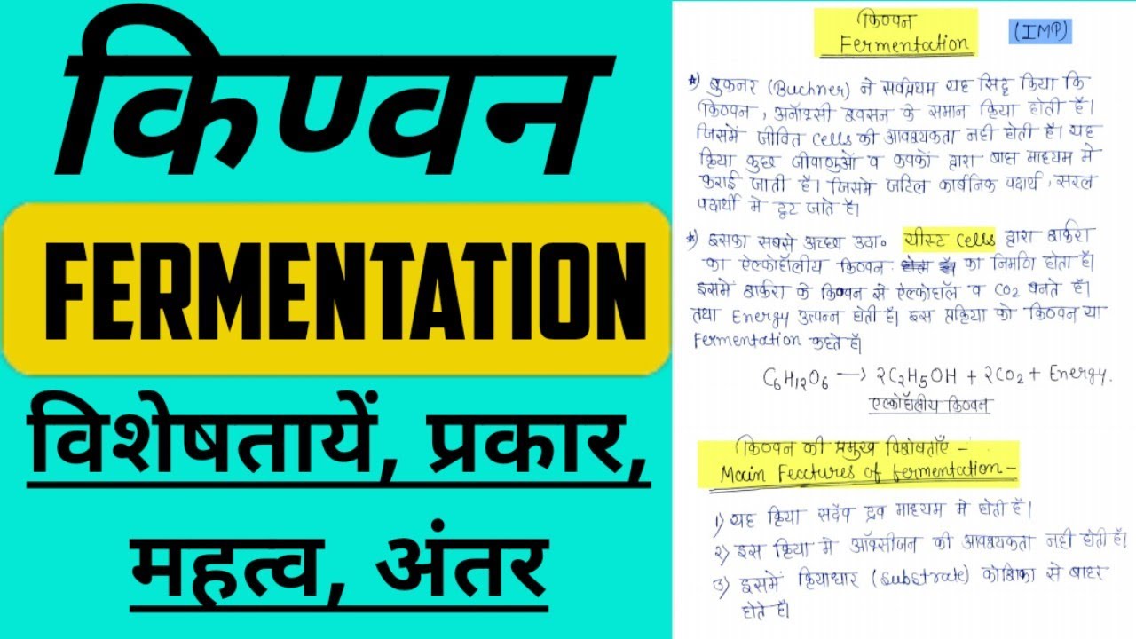 Fermentation (किण्वन) In Hindi || Types Of fermentation & Significance In Hindi || @Botany Adda