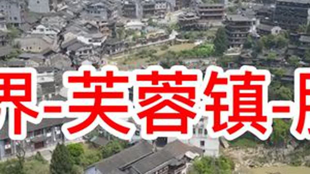 一人一狗一电车，从张家界蹭了芙蓉镇，又睡服务区 #小镇 #芙蓉镇 #环游中国 #特斯拉