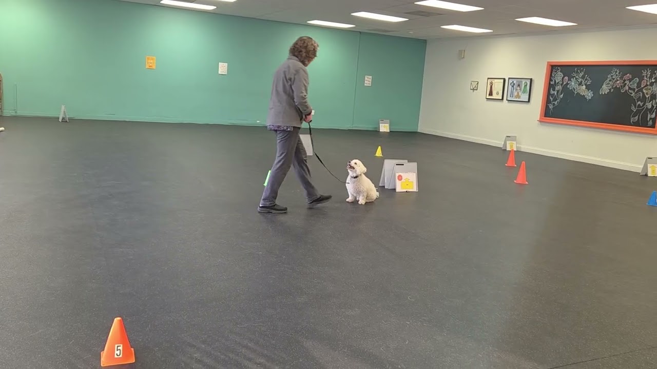 Kathy and Sam 3/17 VBN-3