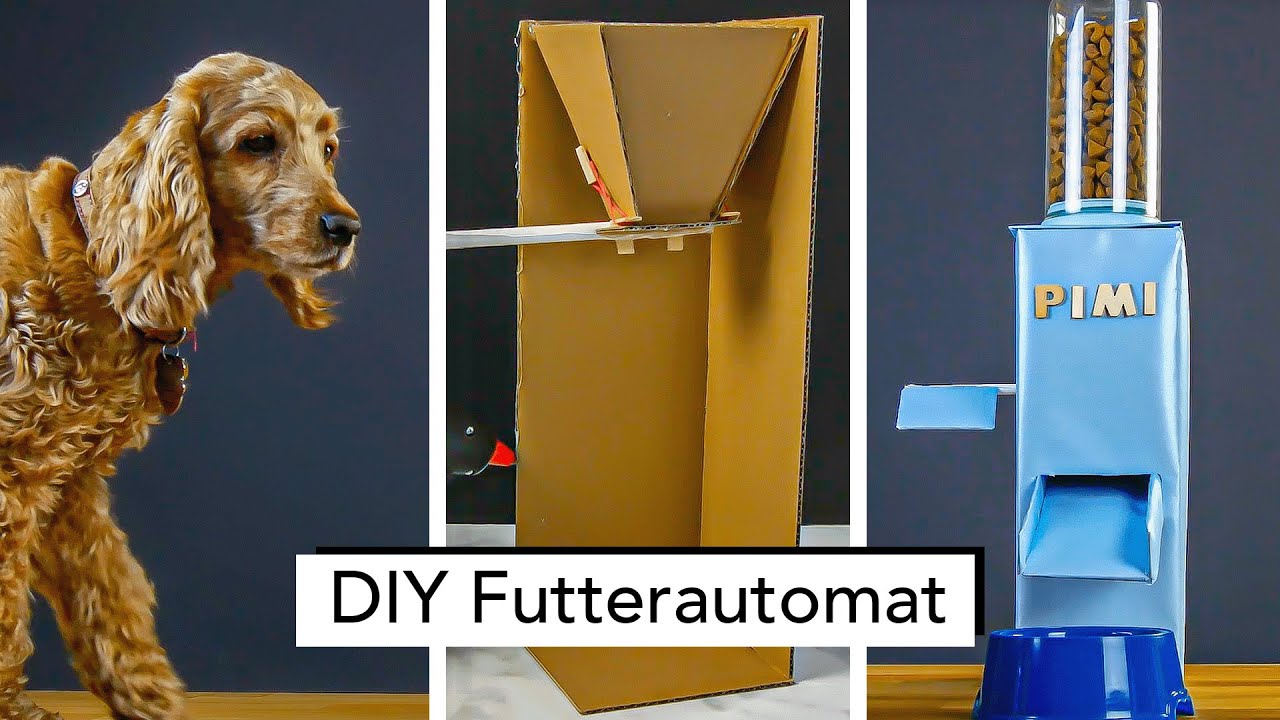 DIY Hundefutterspender - Bastele deinem Hund einen Futterautomaten aus Pappe!