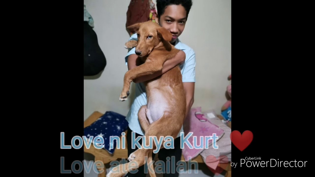 Distemper Bakit ang tridor mo? 😭