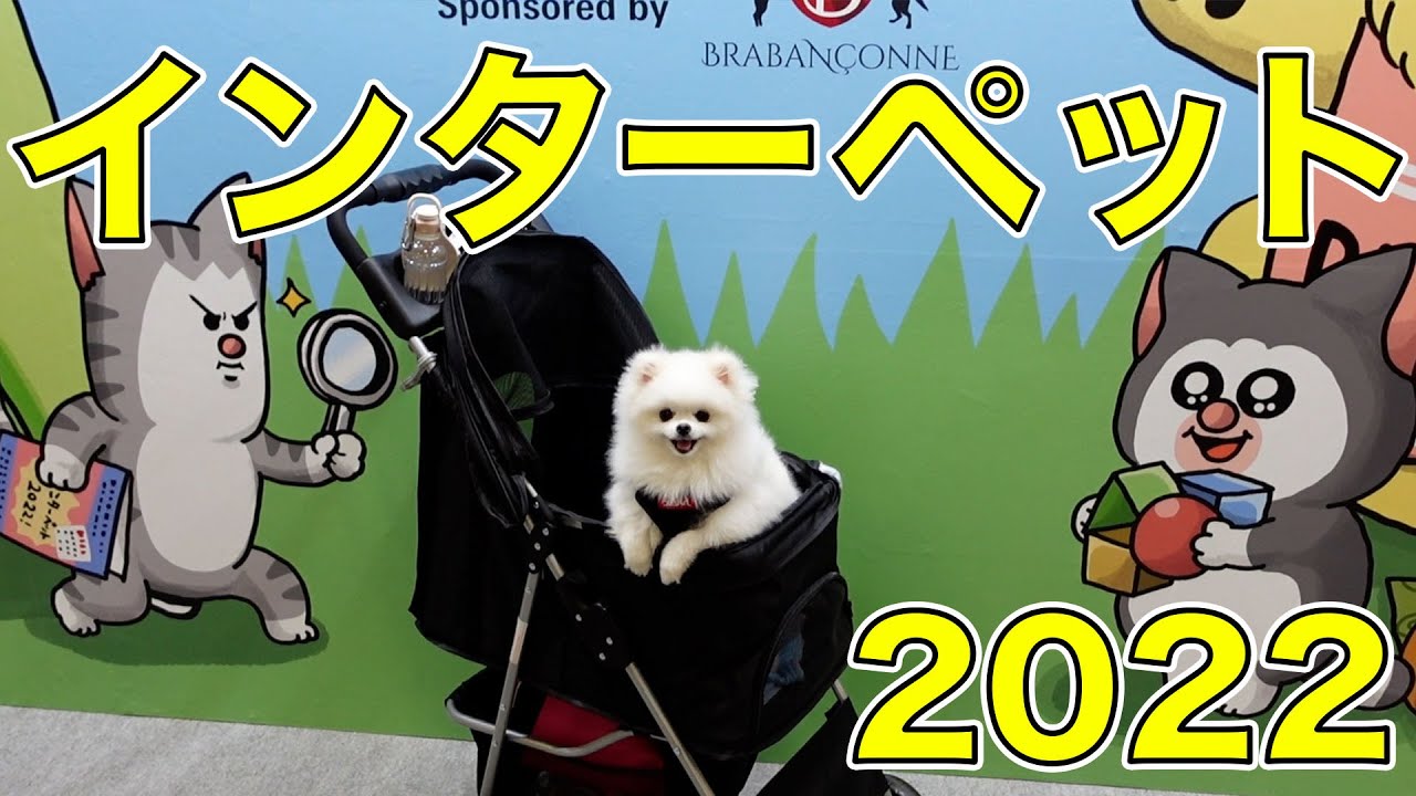 【インターペット2022】日本最大級のペットイベントに行ってきた