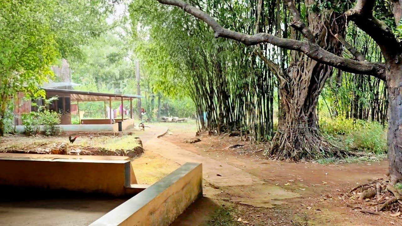 कोकण थंडीच्या दिवसातील वातावरण Village Life In Konkan 