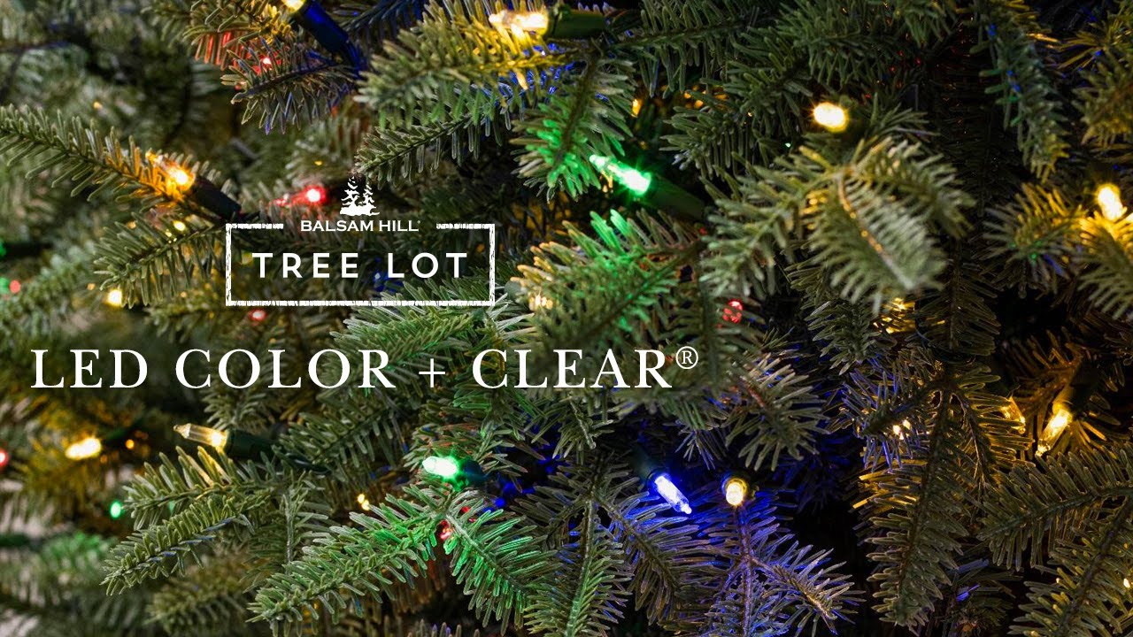 LED Color + Clear | Balsam Hill&reg; Tree Lot