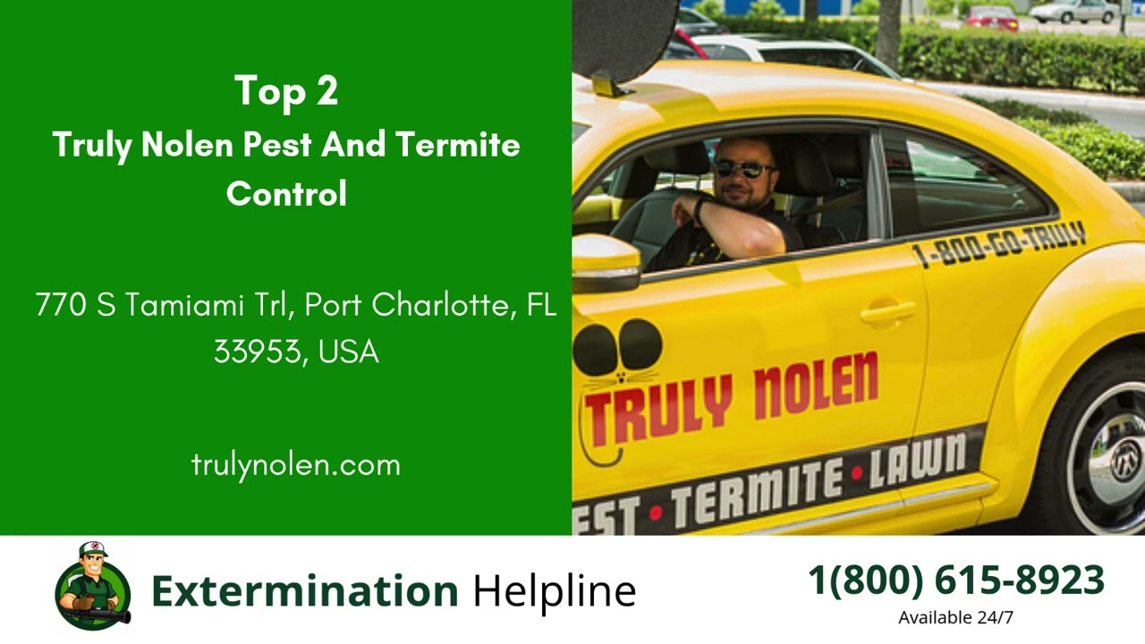 Top 3 Exterminators in Port Charlotte