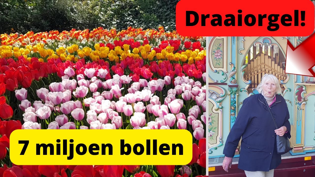 #42 KLEURRIJK KEUKENHOF mét DRAAIORGEL!