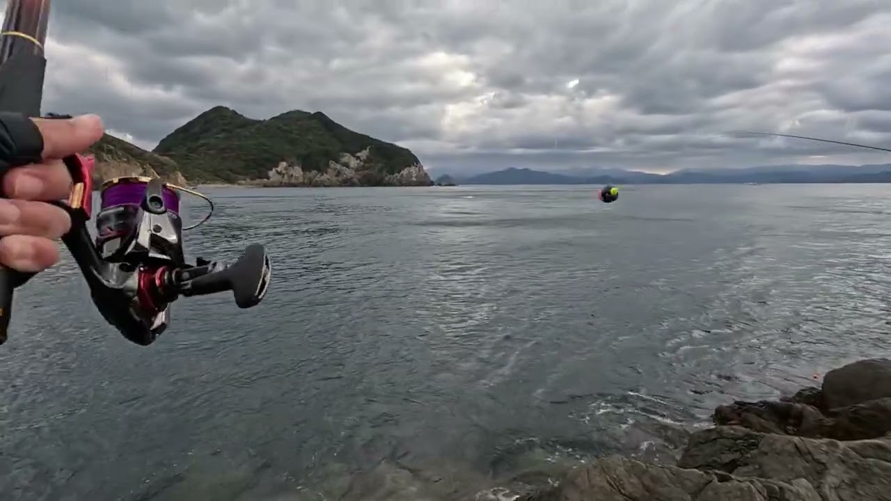 愛媛県宇和島市　日振島　ニシバエ　２カメ