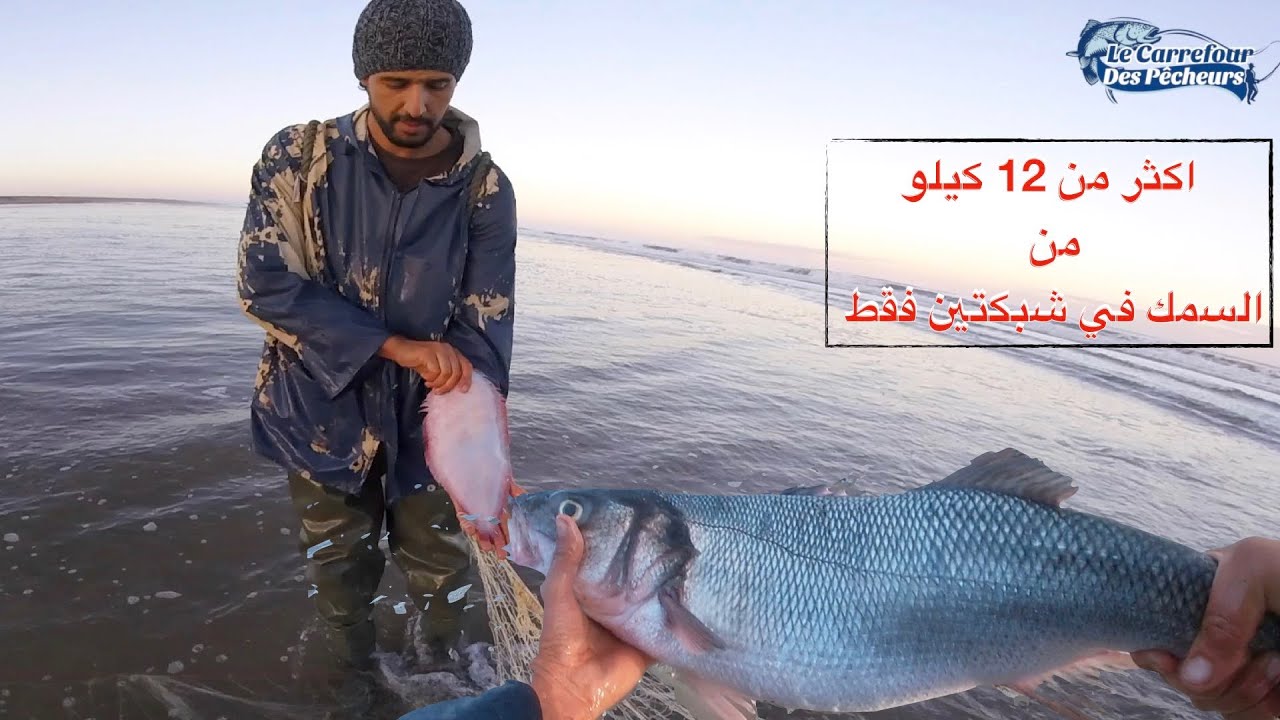 صيد السمك بالشباك الساحلية وحصيلة رائعة ومتنوعة في نهاية الفيديو .. Best Net Fishing