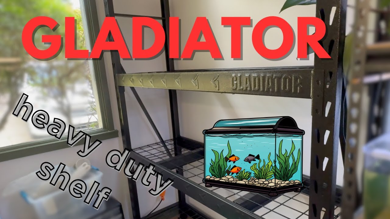 Подставка для аквариумов GLADIATOR &mdash; ключевые моменты перед покупкой и сравнение с подставкой HUSKY.