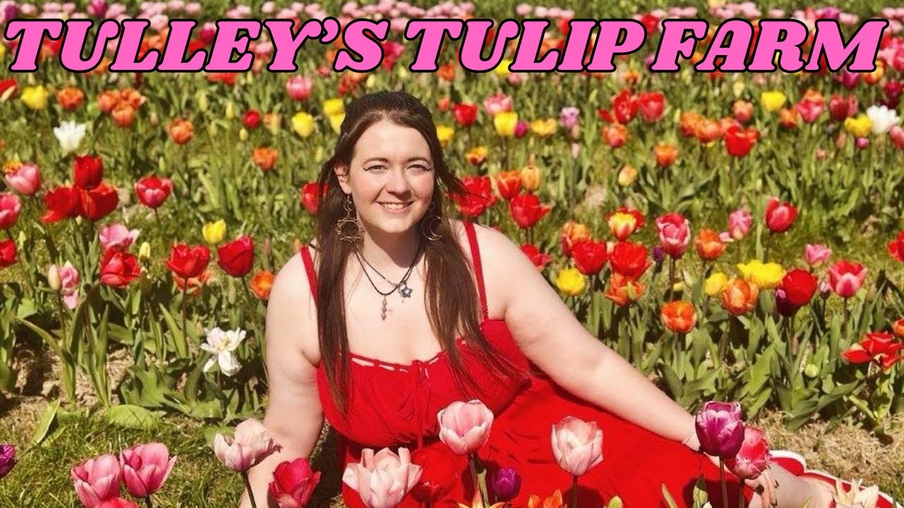 A long dog walk, visiting a tulip farm & off to London! 🐶🌷 || 2025 Video Diary