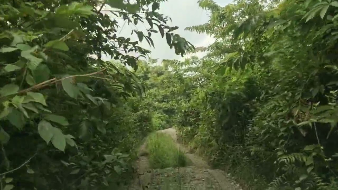 Chilapata & Jungle Safari Route details cont. 8637023055