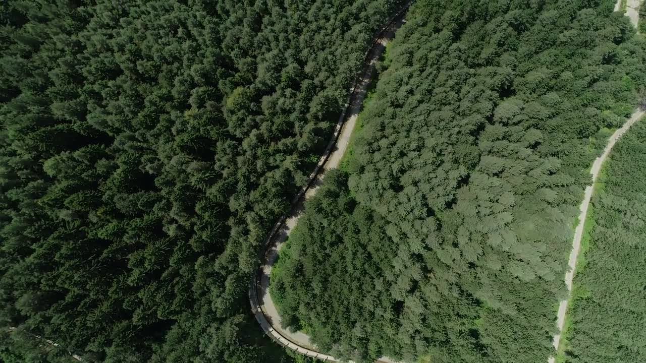 Driving On The Forest Road Stock Video