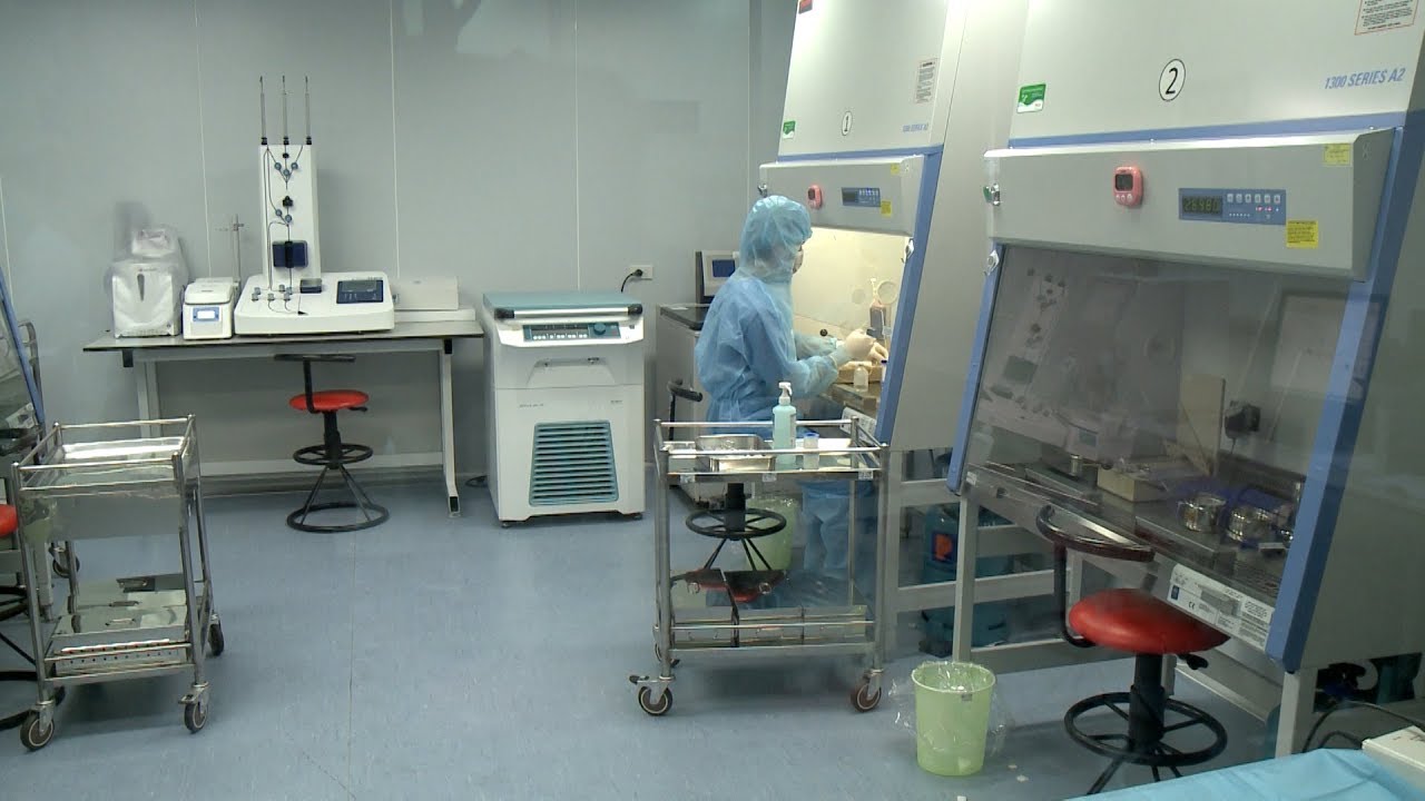 Sức khỏe và cuộc sống: Ghép tế bào gốc - Cơ hội sống cho những người mắc bệnh về máu