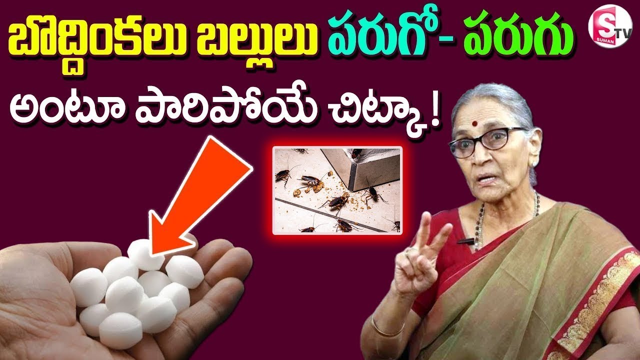 Anantha Lakshmi Darmasandehalu | How To Get Rid Of Cockroaches In Telugu | Home Remedies For Lizads