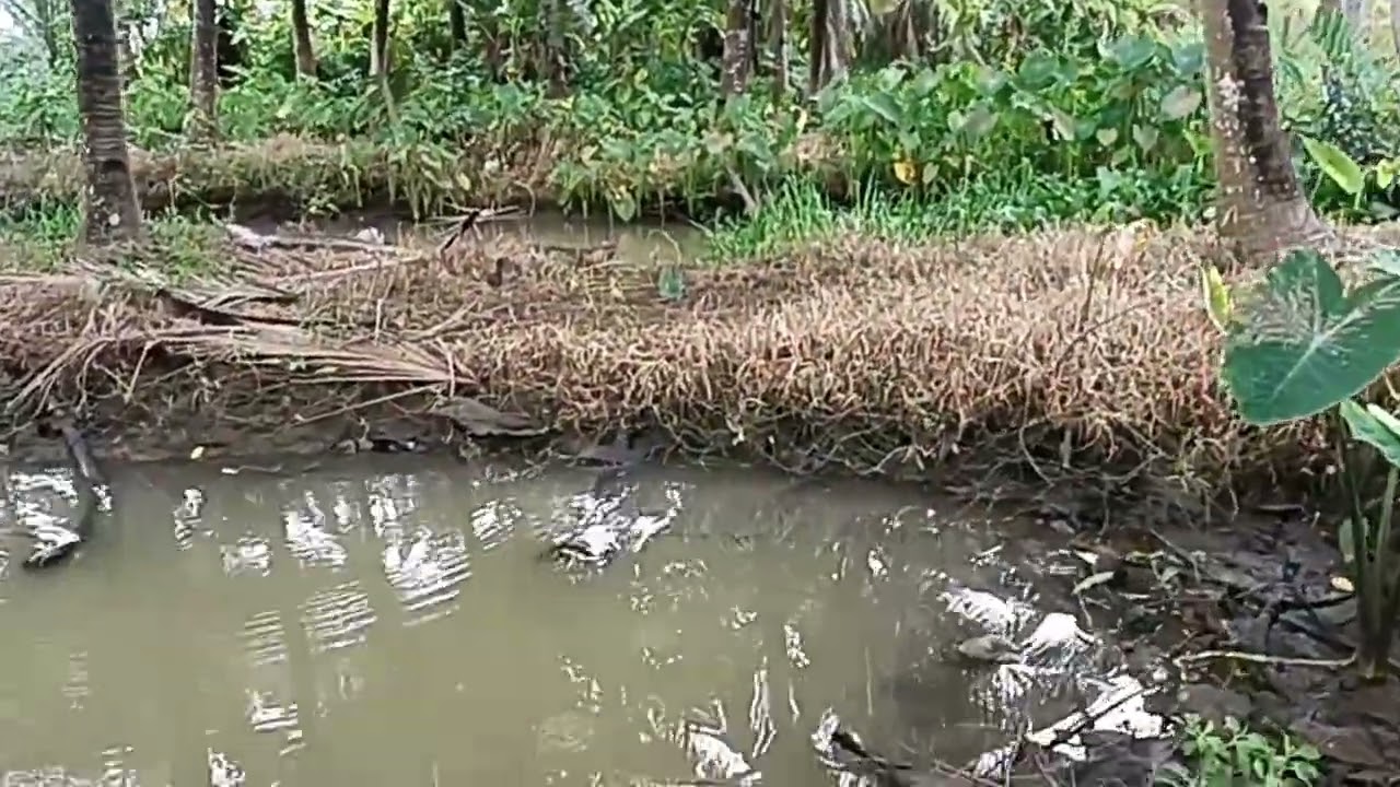 Mancing seru banget kakak zeehan dapat ikan imut 🤣 Gokil mbah kakung baru celup straek langsung..!!!