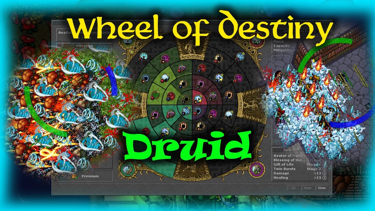 Tibia Wheel of Destiny - Druid