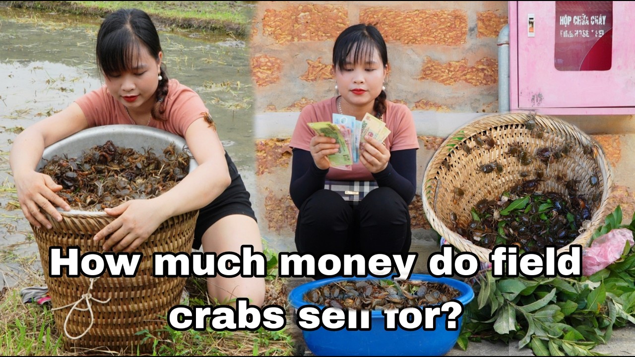 seafood in the field. Collect field crabs to sell and store melon seeds