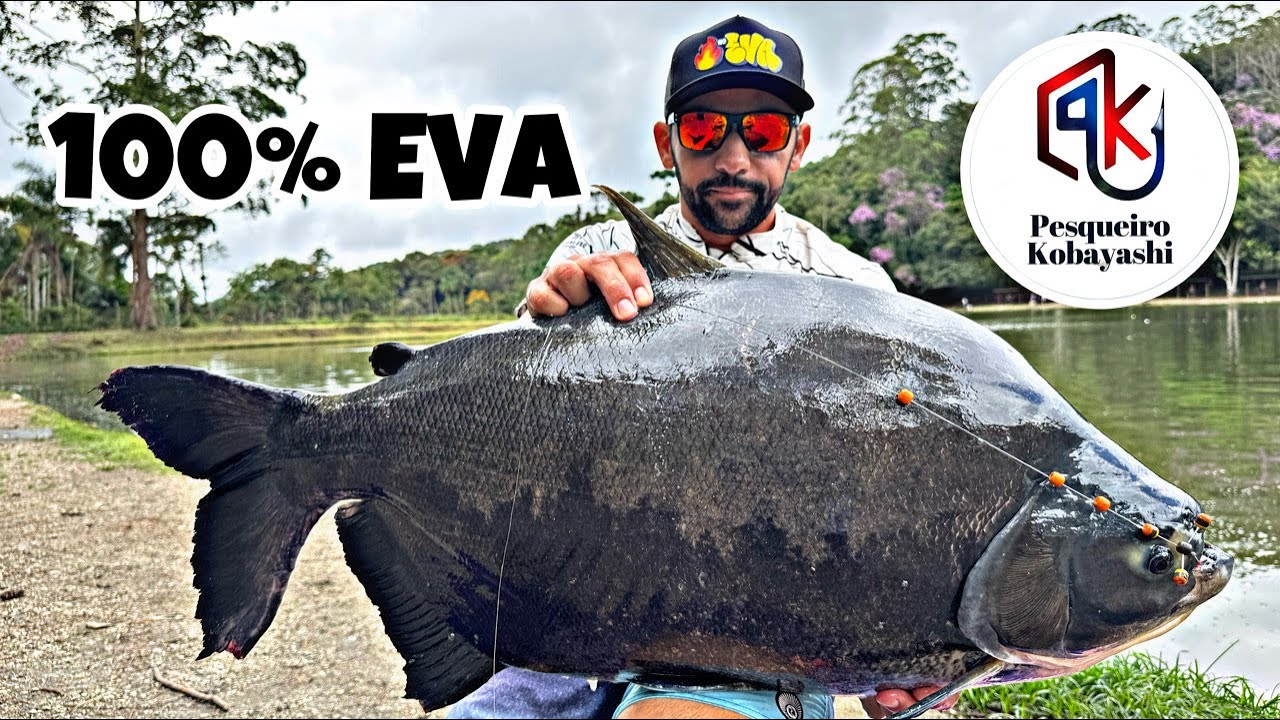 PESQUEIRO KOBAYASHI não falha! Mais uma 100% EVA