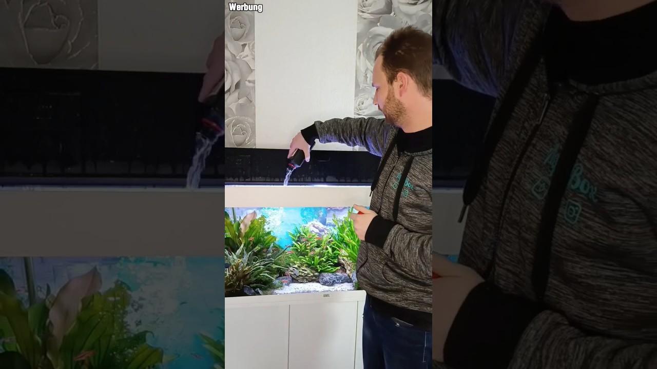 So entfernst du alle Algen in dein Aquarium inhehalb von einer Woche | Algen im Aquarium entfernen