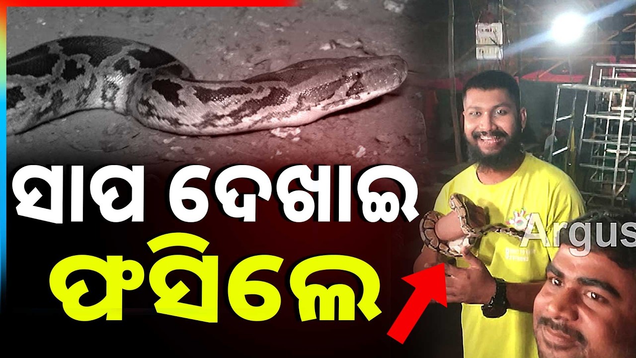 🔴Big Breaking Live | ସାପ ଦେଖାଇ ଫସିଲେ ଯାତ୍ରା କଳାକାର | Jatra Artist | 05 Feb 2025 | Argus News