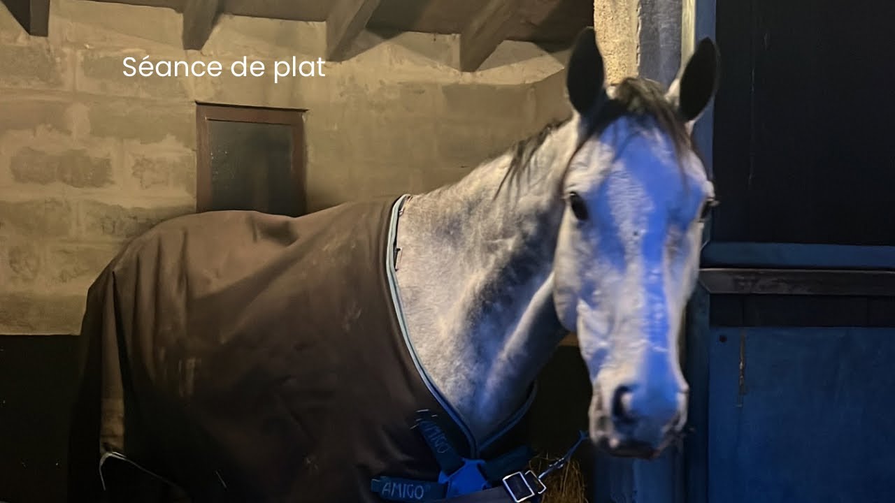 SÉANCE DE PLAT AVEC LENY DE DÉBUT DÉCEMBRE ☃️