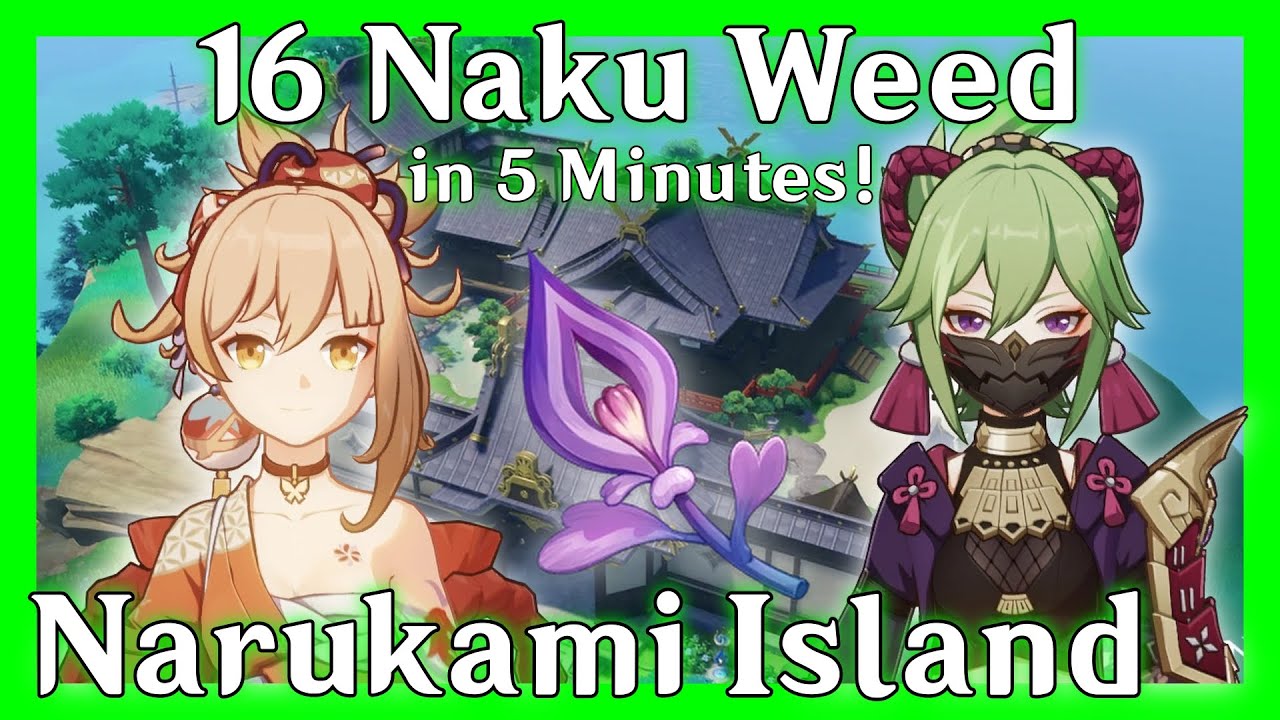 16 Naku Weed In 5 Minutes Narukami Island | Genshin Impact - Material Farm ( How to Farm )