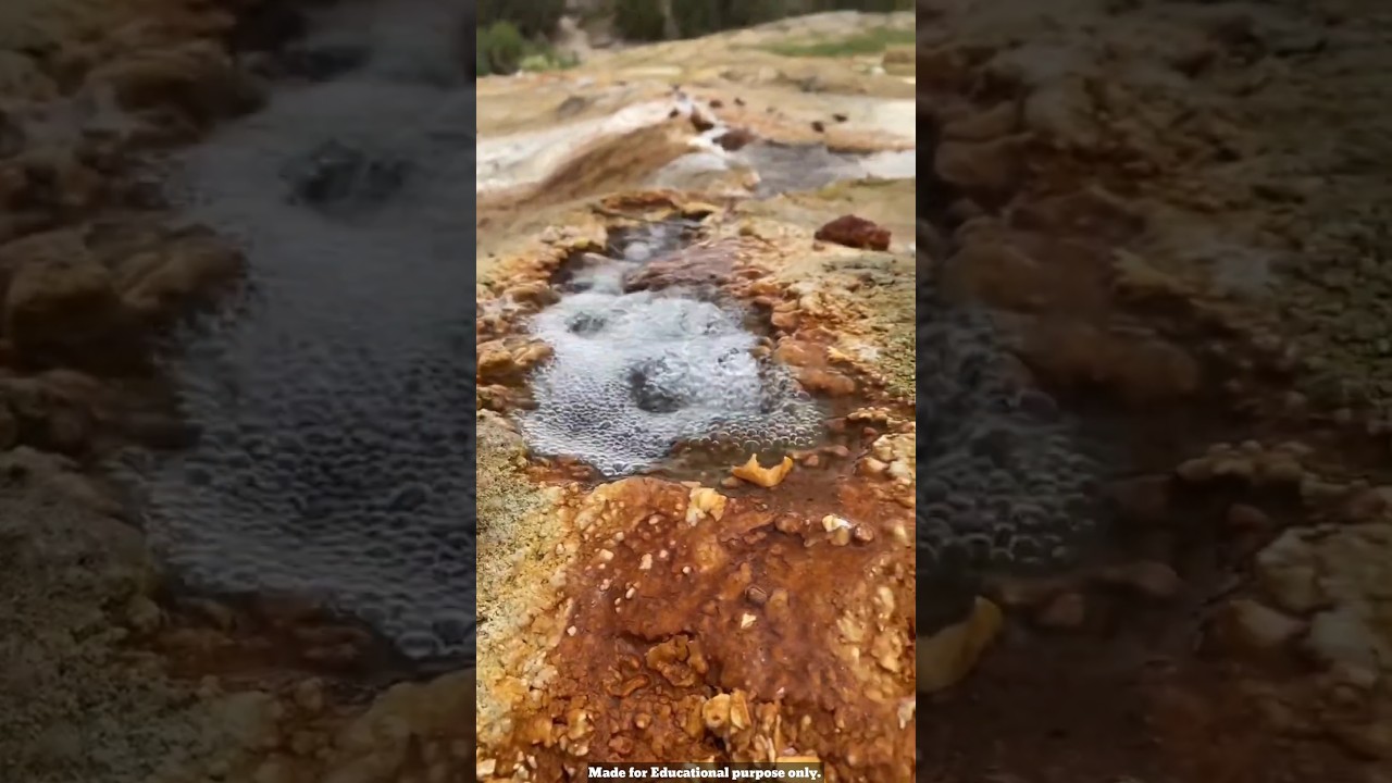 Boiling hot water springs