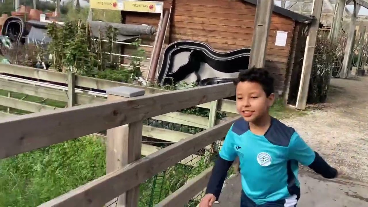 شاركت معكم المزرعة فين خذيت القنية فيديو طبيعي 🤩👍🐇🐓