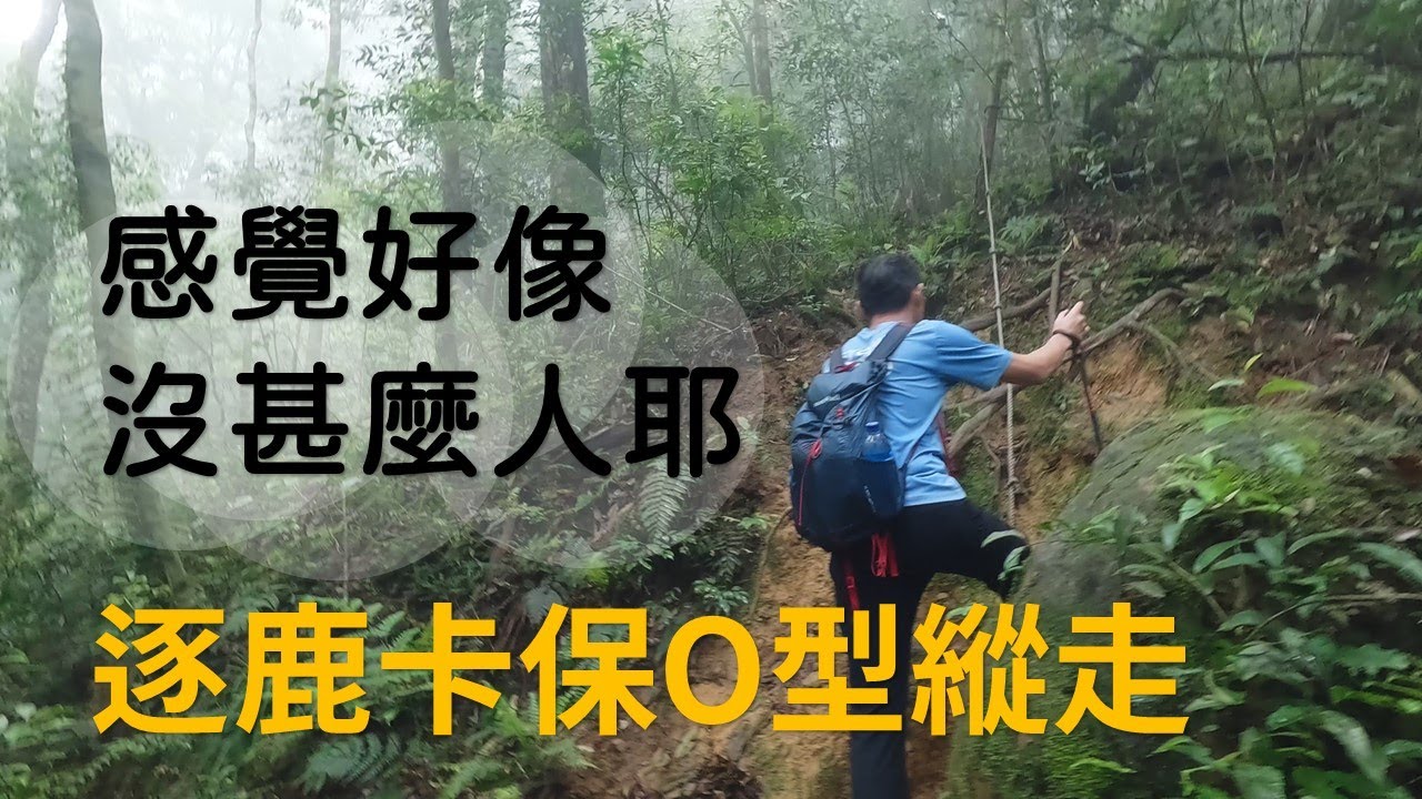 【爬山】 逐鹿卡保O型縱走 | 這也太滑了吧！