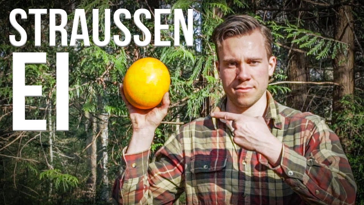 Das GRÖSSTE Osterei der Welt: Straußenei über dem Feuer kochen & färben