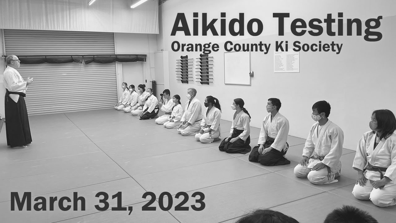 Aikido Testing Highlights - March 31, 2023